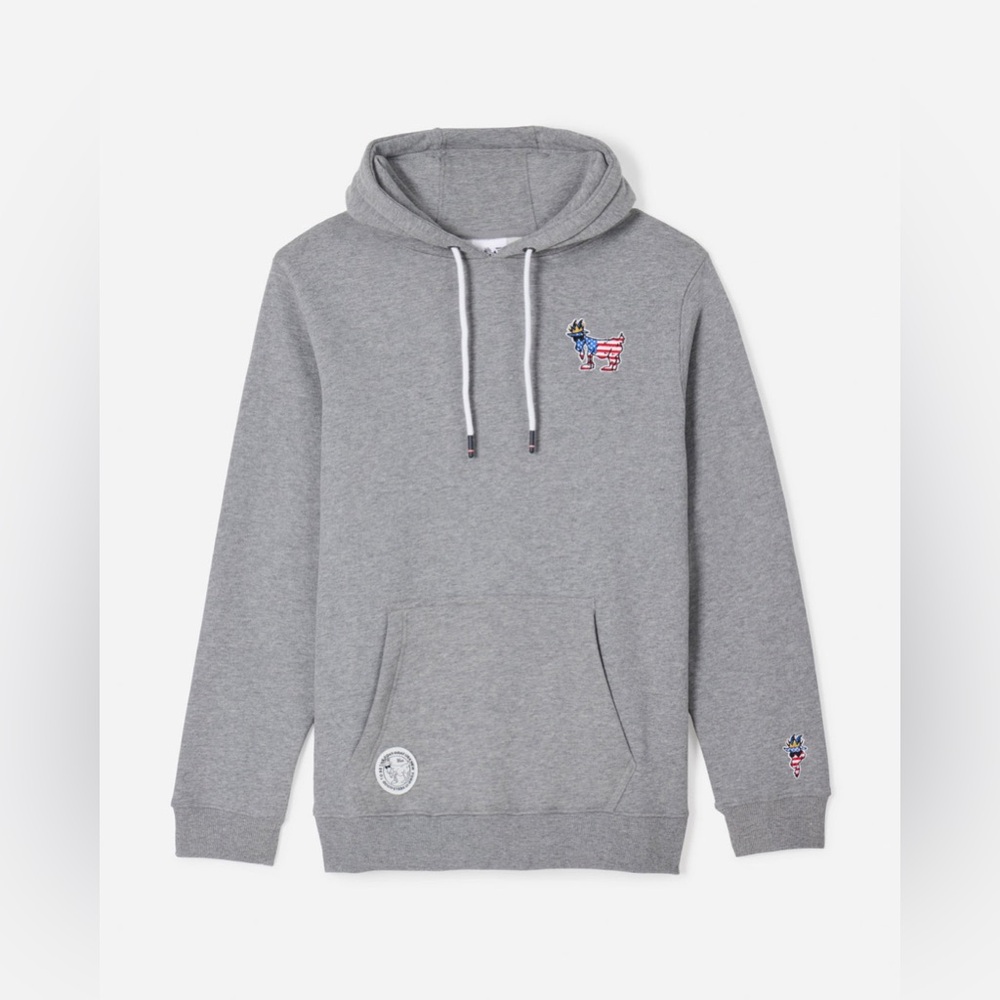 Grey Kids Hoodie with Flag Fox Embroidered Logo